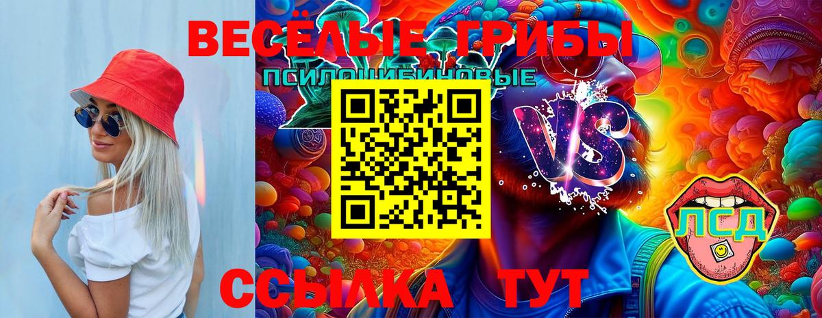 Псилоцибиновые грибы ЛСД Красноармейск