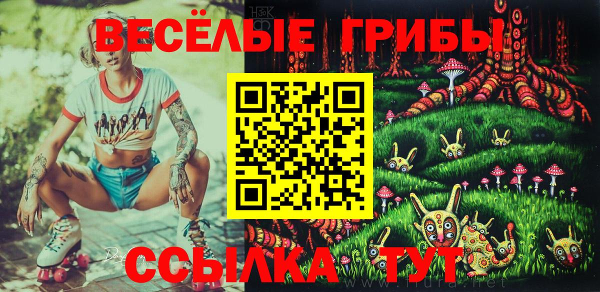 Галлюциногенные грибы MAGIC MUSHROOMS  Вход с VPN  Красноармейск  Псилоцибиновые грибы Cubensis 